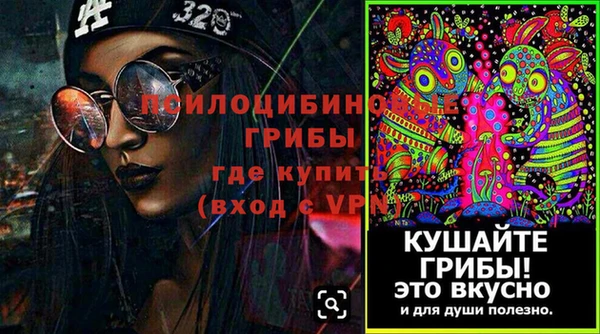 кокс Инсар