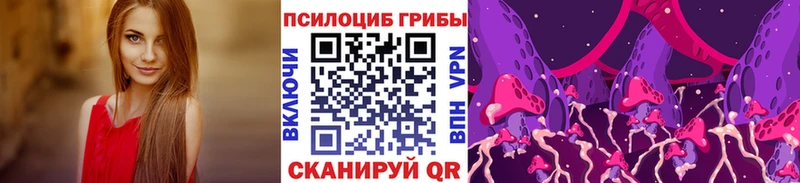 Псилоцибиновые грибы Magic Shrooms Купить Мурманск